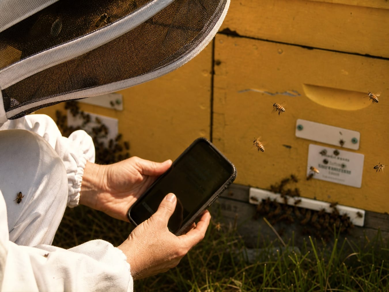 Phone scan workflow for app and hive tags