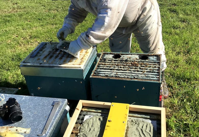 Beekeeper installing hive hardware in field conditions