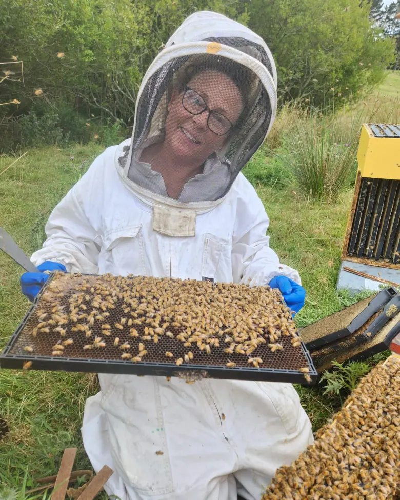 Beekeeper holding a frame covered with bees during an inspection