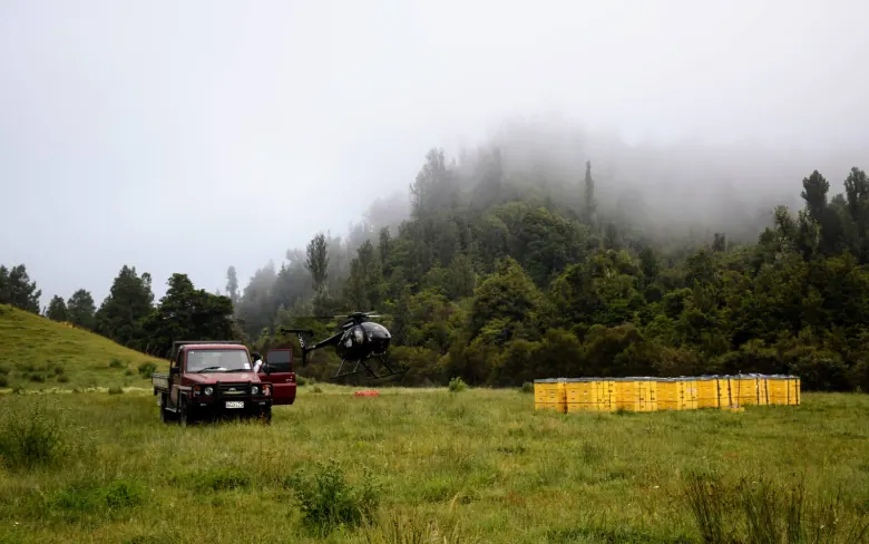 Remote apiary with yellow hive boxes, vehicle and helicopter in misty hills