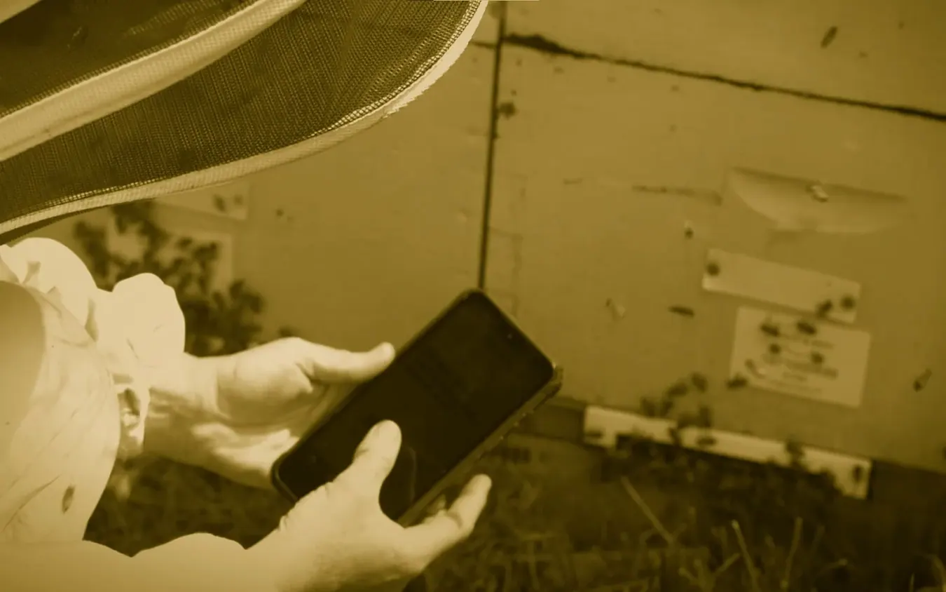 Beekeeper scanning tags beside a working hive