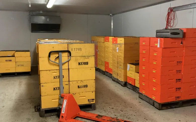 Original cold-room stacks of tagged hive boxes and inventory pallets